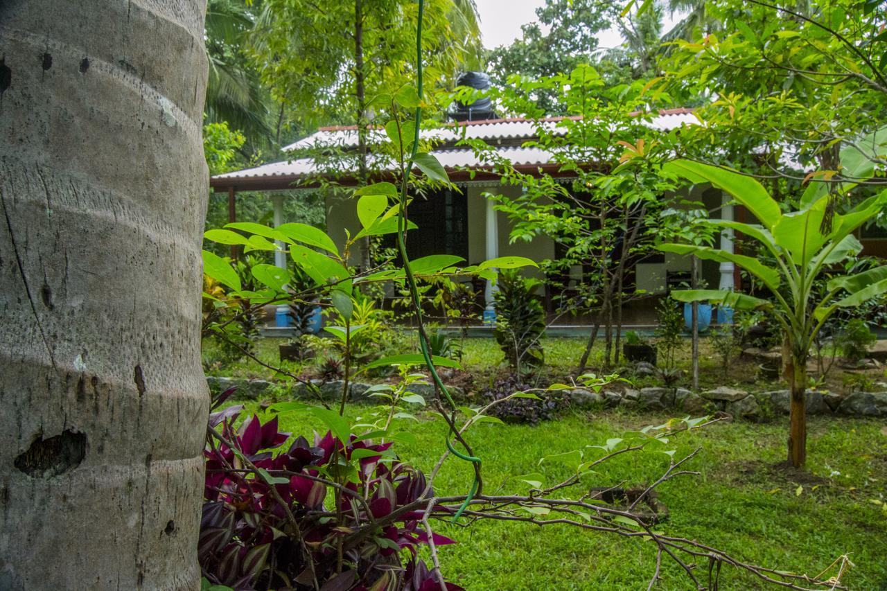 Senura Home Stay Sigiriya Buitenkant foto